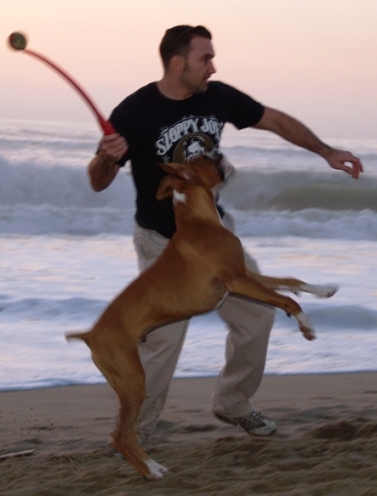 Gimme the ball! Gimme the ball!