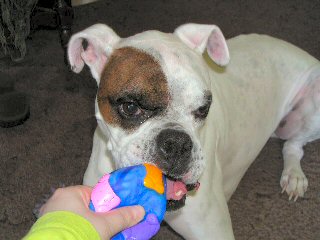 Gimme!