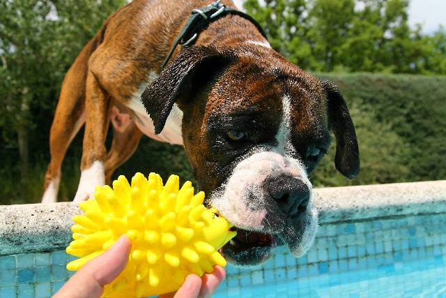 Gimme!