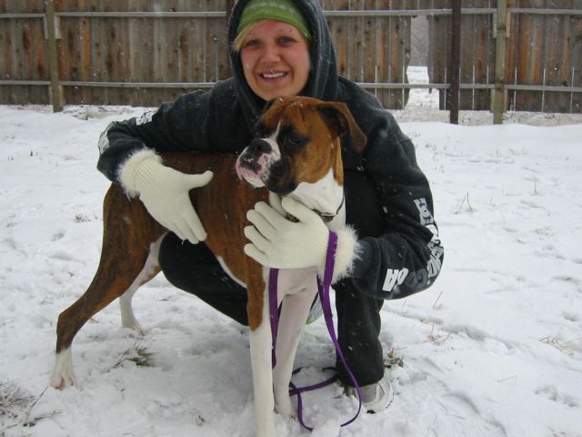 Ginger_in_snow_IMG