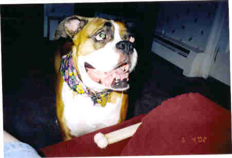 ginger's 5th birthday