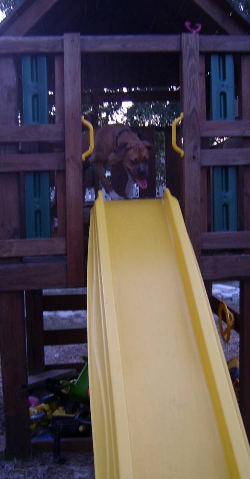 GingertopSlide