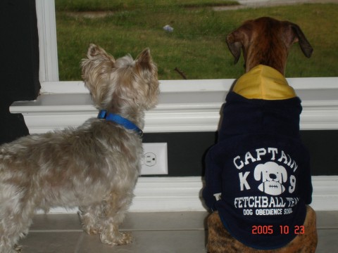 Ginny & Eddie