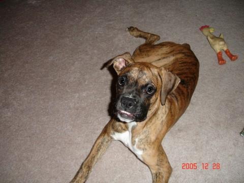 Ginny