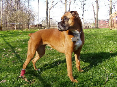 "Girl" with her red bandage!