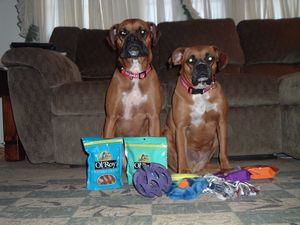 girls with presents