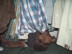 giselle_in_closet
