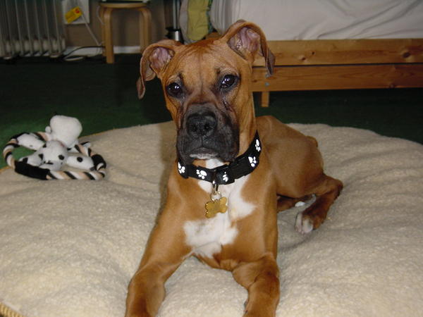 giselle_s_first_day_home