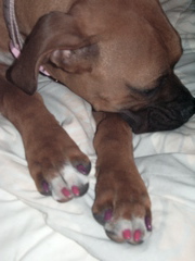 giselle_s_nails
