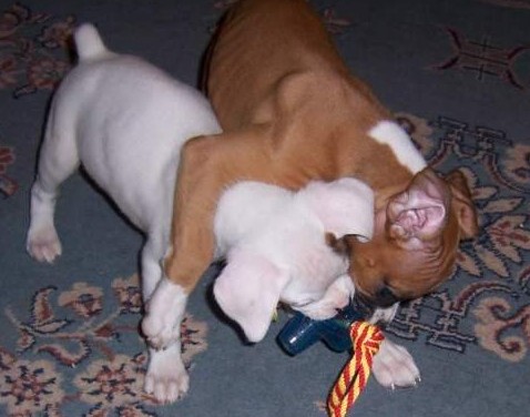 Give it to ME!