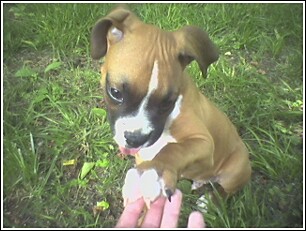 Give me five mamma
