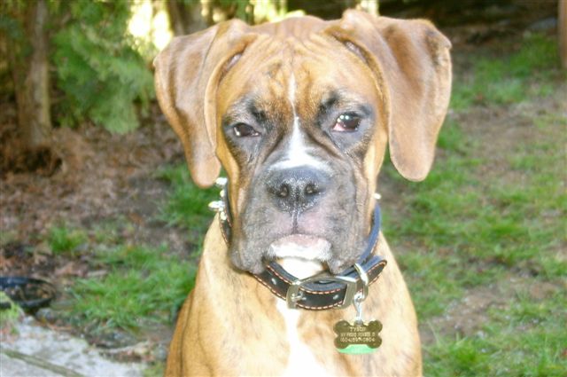 Give me my ball back, or there will be consequences