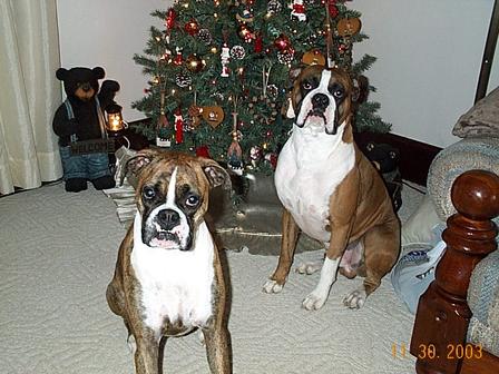 Give me my present now!!