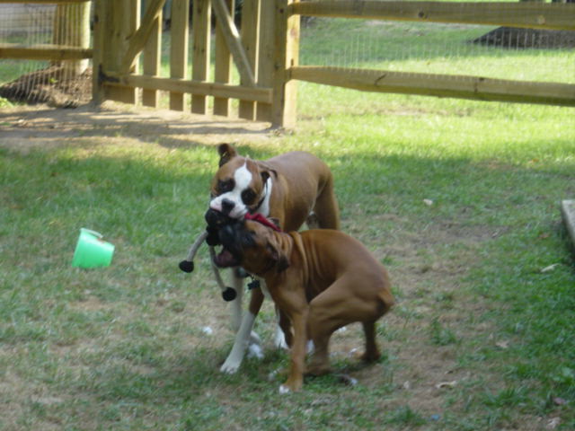 Give me that!!!