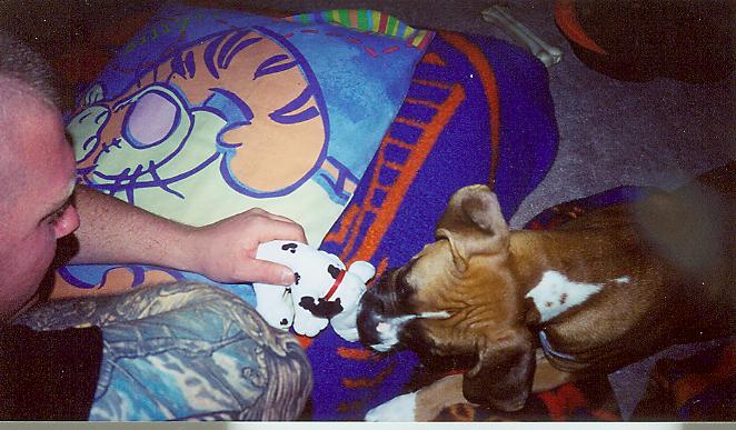 Give me the toy already Daddy!!