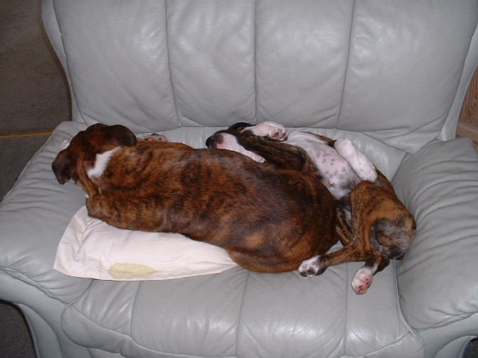 give us a cuddle