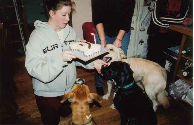 Give Us Cake!