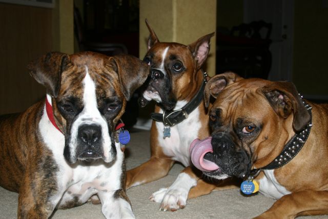 Give us the treat already!