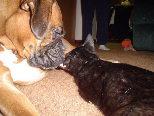 giving Lazzara kisses