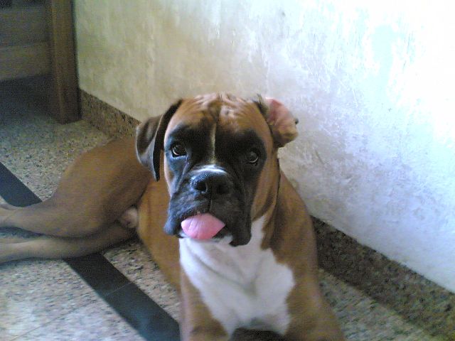 Giving you the tongue.