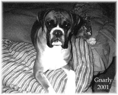 gnarly2001
