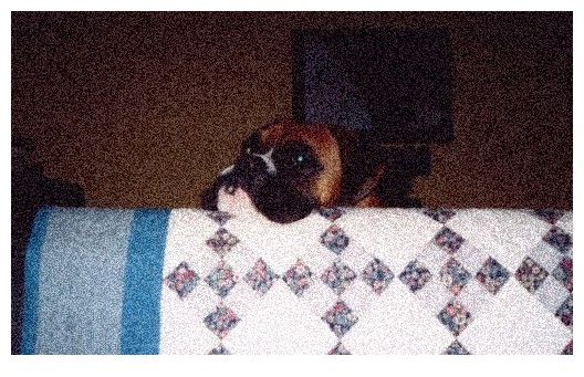 gnarlyOnCouch