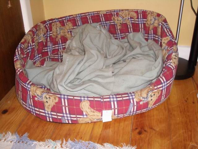Gnarly's bed