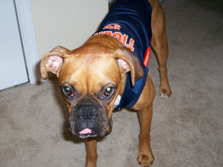 Go Auburn!!