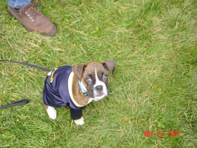 Go Blue!