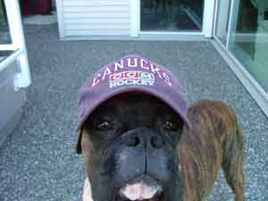 GO CANUCKS GO!