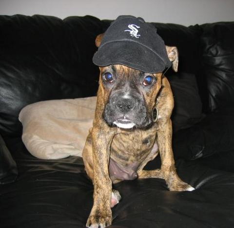 Go Sox!