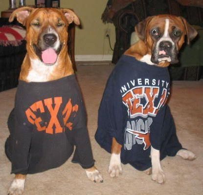 Go UT