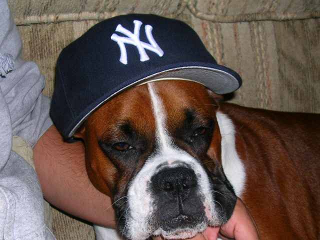 go yankees!!