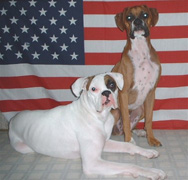 God Bless the USA