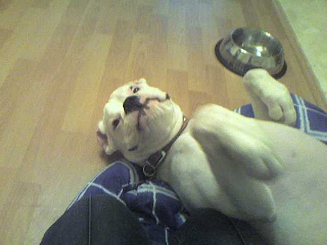 Godzilla pose!!