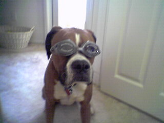 Goggles