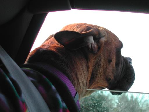 Goin' for a Ride!