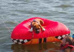 Goin' tubin'