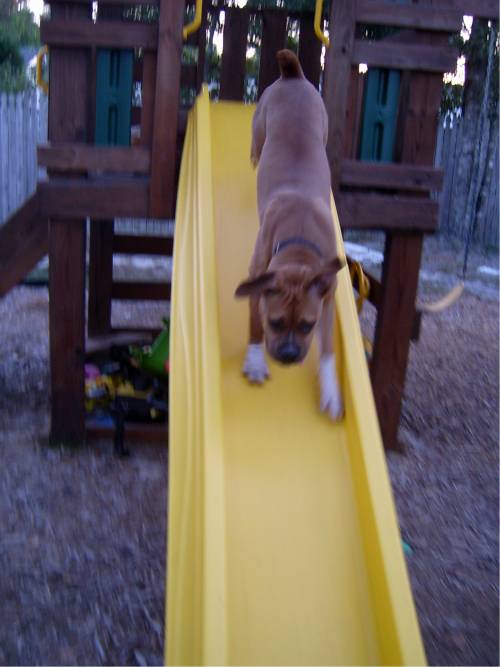 Going Down!