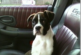 Going for a Ride!