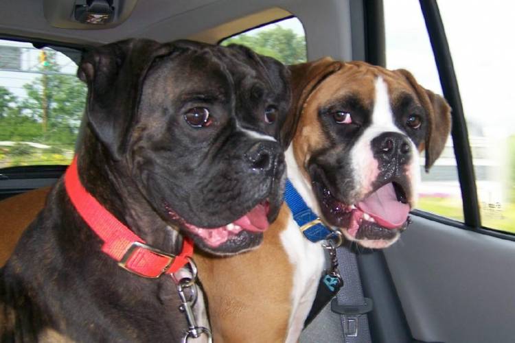 Going for a ride