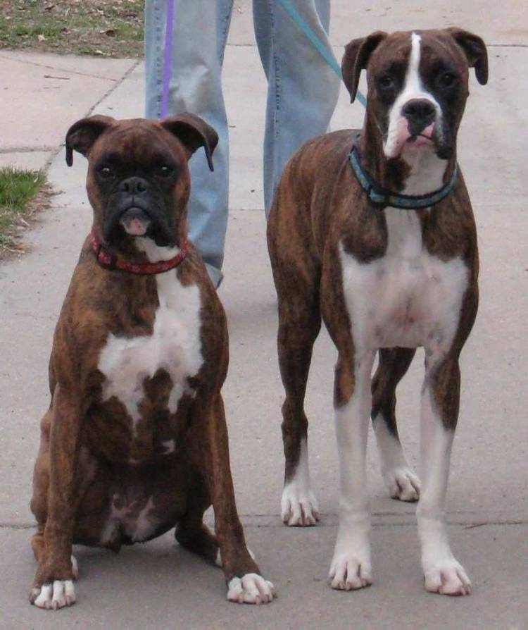 Going for a walk!