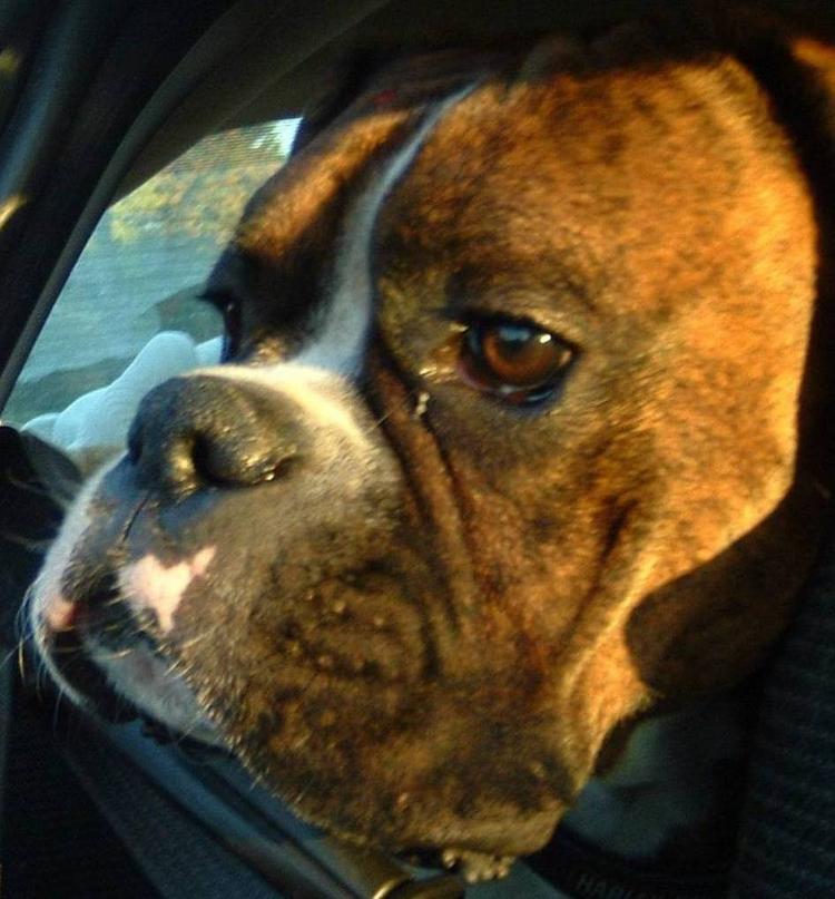 Going to the park.