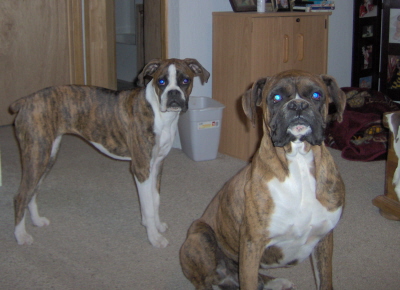 Goldie Girl and Mahamoud Ali Lounging
