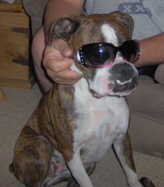 Goldie looking cool in her bling bling sunglasses.