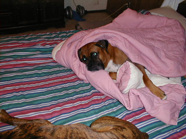 Gonna' be COLD tonight, Dad!