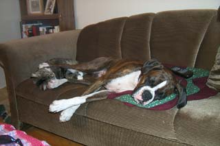 Good foot rest!