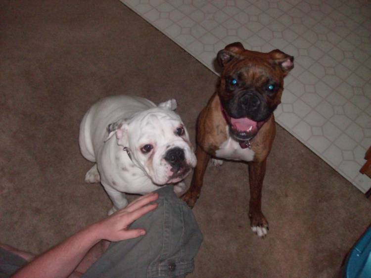 good friends