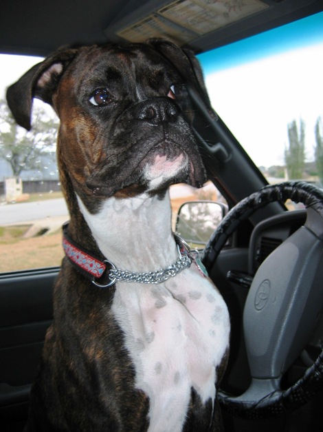 Good Girl!