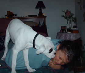 Good Morning Kisses